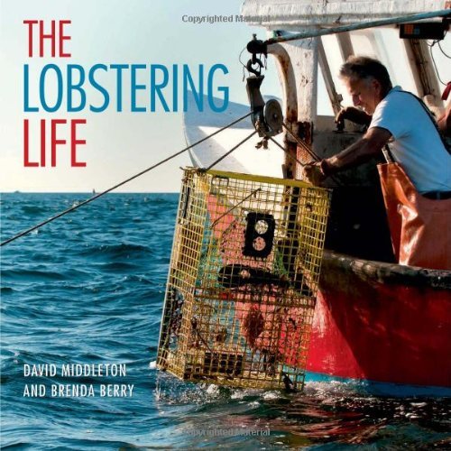 David Middleton/Lobstering Life