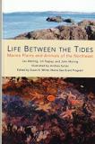 Les Watling Life Between The Tides Marine Plants And Animals Of The Northeast 
