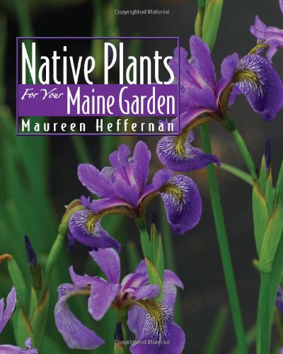 Maureen Heffernan Native Plants For Your Maine Garden 