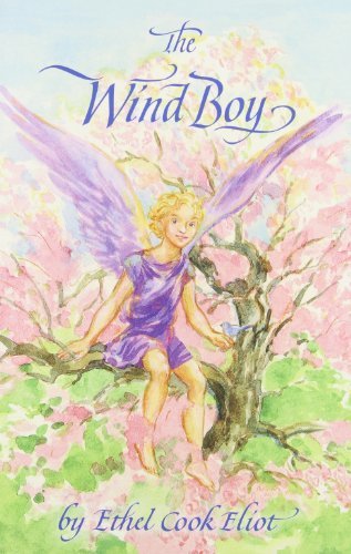 Ethel Cook Eliot The Wind Boy 