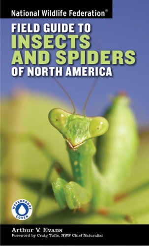 National Wildlife Federation/Field Guide to Insects and Spiders of North America