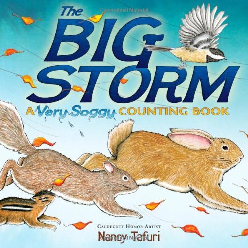 Nancy Tafuri/The Big Storm@ A Very Soggy Counting Book