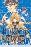 Kentaro Yabuki Black Cat Vol. 18 18 Original 