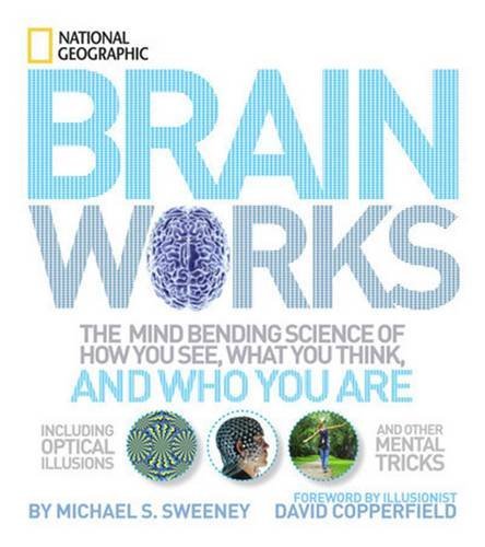 Michael S. Sweeney/Brainworks@The Mind-Bending Science of How You See, What You