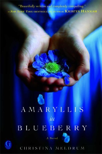 Christina Meldrum/Amaryllis in Blueberry