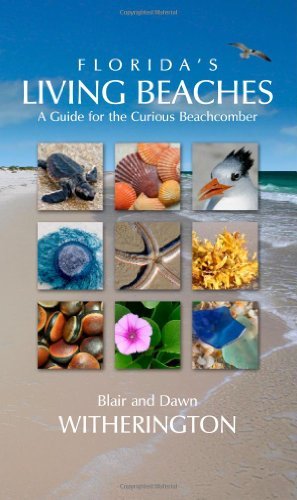 Blair Witherington Florida's Living Beaches A Guide For The Curious Beachcomber 