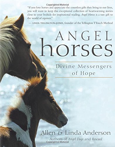 Allen Anderson/Angel Horses@ Divine Messengers of Hope