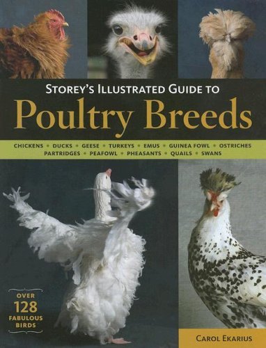 Carol Ekarius/Storey's Illustrated Guide To Poultry Breeds