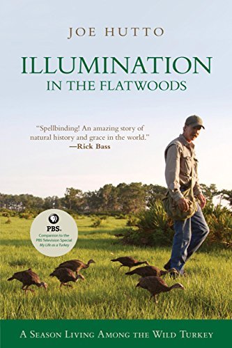 Joe Hutto Illumination In The Flatwoods A Season With The Wild Turkey 