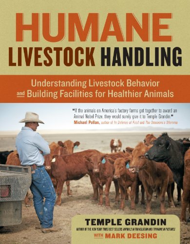 Temple Grandin Humane Livestock Handling Understanding Livestock Behavior And Building Fac 