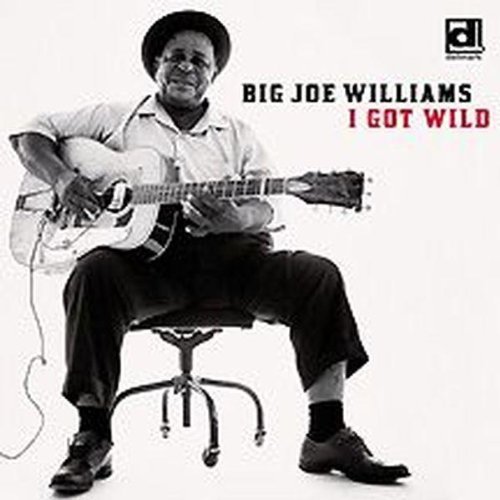 Big Joe Williams/I Got Wild