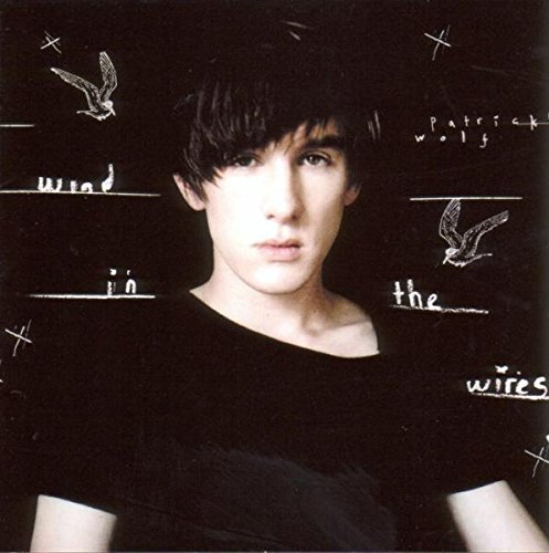 Patrick Wolf/Wind In The Wires@Import-Gbr