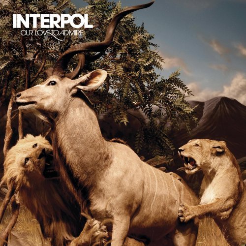 Interpol/Our Love To Admire@Import-Jpn@Incl. Bonus Track