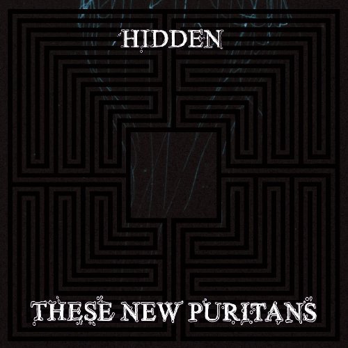 These New Puritans/Hidden@Import-Gbr