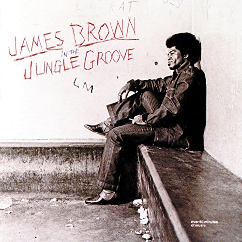 James Brown/In The Jungle Groove