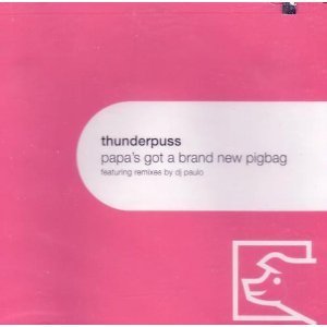 Thunderpuss/Papa's Got A Brand New Pigbag