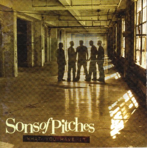 Sons Of Pitches What You Have It 