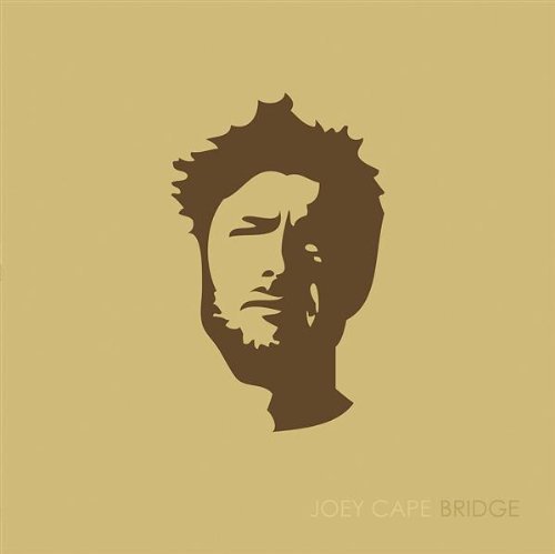 Joey Cape/Bridge