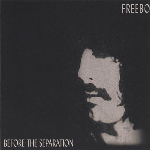 Freebo/Before The Separation