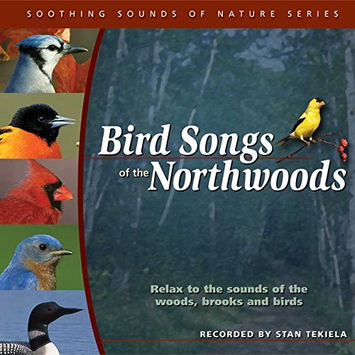 Stan Tekiela Bird Songs Of The Northwoods 