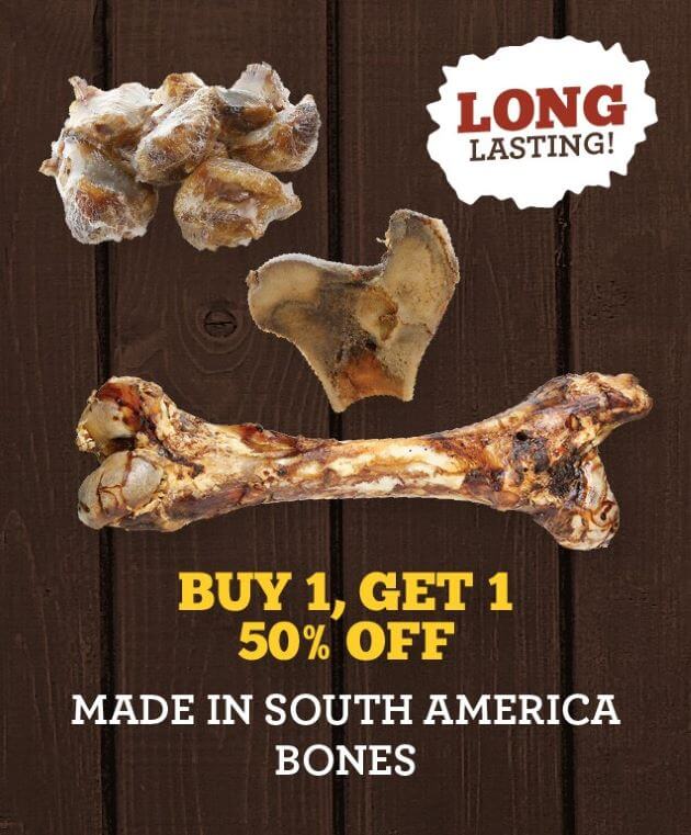 Happy Holidays - Buy 1, Get 1 50% Off Made in South America Bones