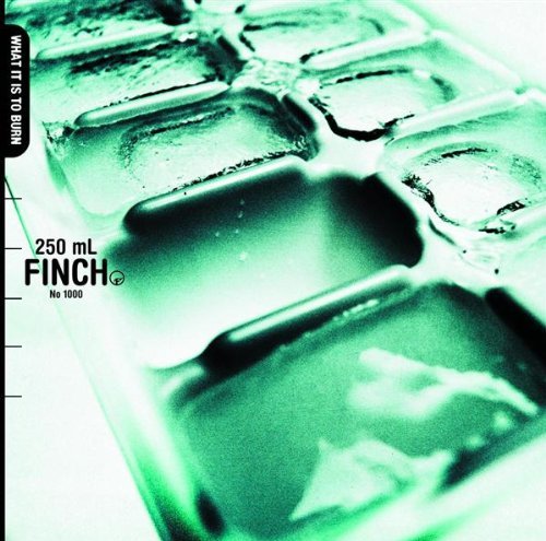Finch What It Is To Burn 
