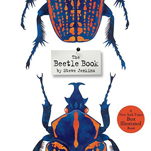 Steve Jenkins/The Beetle Book