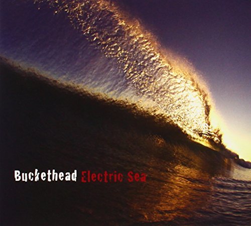 Buckethead/Electric Sea