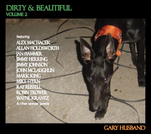 Gary Husband/Vol. 2-Dirty & Beautiful