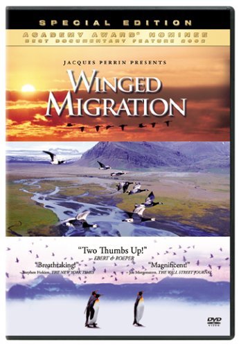 Winged Migration/Winged Migration@Clr/Ws@G