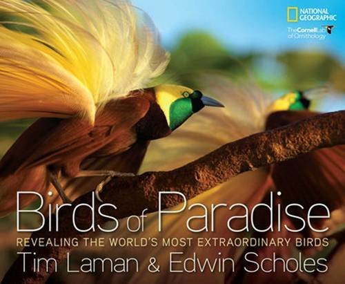 Tim Laman Birds Of Paradise Revealing The World's Most Extraordinary Birds 
