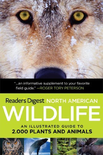 Reader's Digest/Reader's Digest North American Wildlife@An Illustrated Guide To 2,000 Plants And Animals