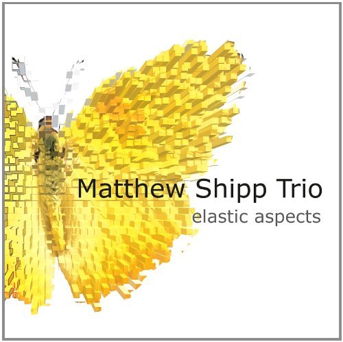 Matthew Shipp Elastic Aspects . 