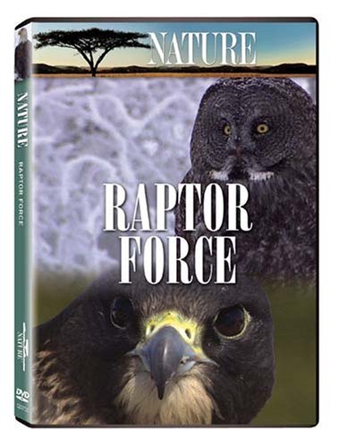 Raptor Force Nature Nr 