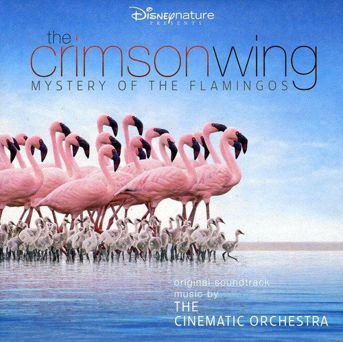 Cinematic Orchestra/Crimson Wing: Mystery Of The F@Import-Gbr