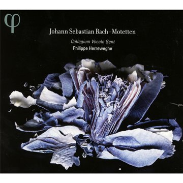 Johann Sebastian Bach/Motets Bwv 225-230@Herreweghe/Collegium Voc