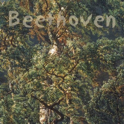 Ludwig Van Beethoven/Cello Sonatas@Solum/Fossheim
