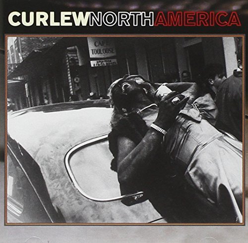 Curlew/North America