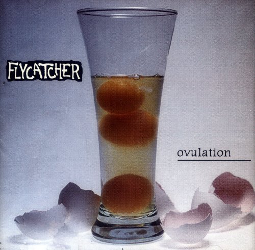 Flycatcher/Ovulation