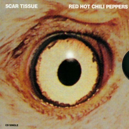 Red Hot Chili Peppers/Scar Tissue