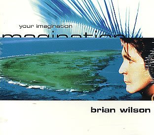 Brian Wilson/Your Imagination