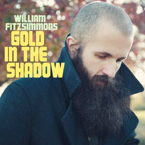 William Fitzsimmons/Gold In The Shadow@Deluxe Ed.