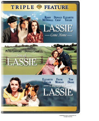 Lassie Come Home Son Of Lassie Warner Triple Feature Clr Nr 3 On 1 