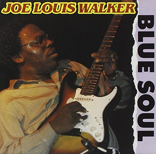 Joe Louis Walker/Blue Soul