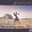 Pink Floyd/Collection Of Great Dance Song