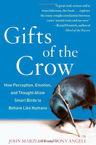 John Marzluff Gifts Of The Crow How Perception Emotion And Thought Allow Smart 