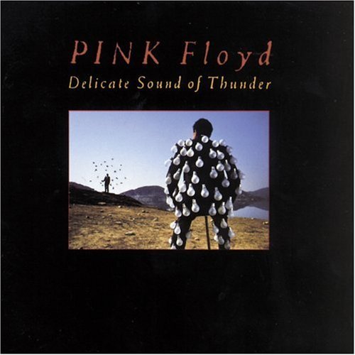 Pink Floyd/Delicate Sound Of Thunder-Live@2 Cd Set