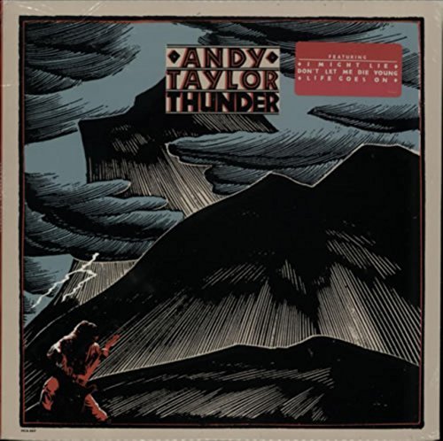 Andy Taylor/Andy Taylor Thunder (1987) Lp Vinyl Mca Records