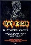 Iron Maiden 12 Wasted Years 