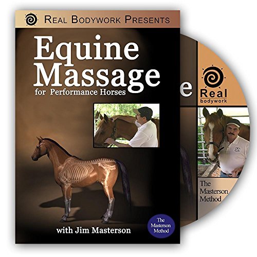 Equine Massage For Performance Horses Equine Massage For Performance Horses 